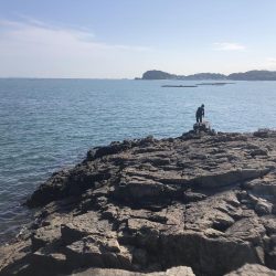 日生町頭島のカフェrebornの南でコブダイ