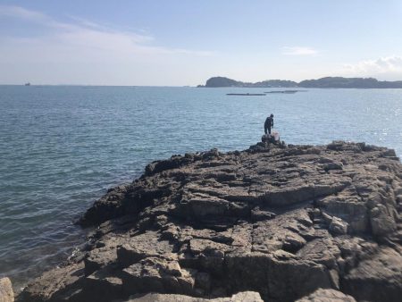 日生町頭島のカフェrebornの南でコブダイ