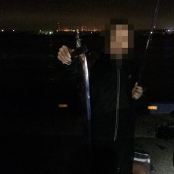 群れが小さい？