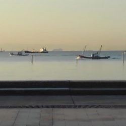 魚はどこですか？