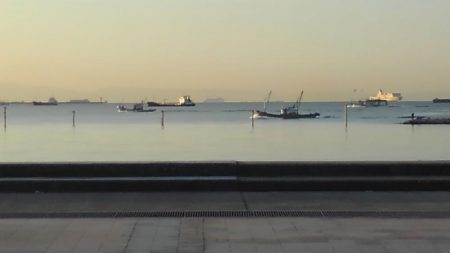 魚はどこですか？