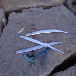 お気に入りルアーが…。