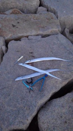 お気に入りルアーが…。