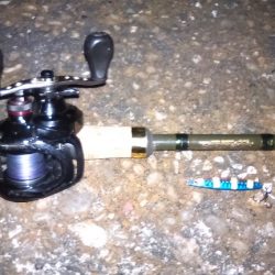 この所ボウズ記録更新中でしたがやっとボウズから逃れる事が出来ました。