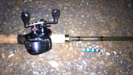 この所ボウズ記録更新中でしたがやっとボウズから逃れる事が出来ました。