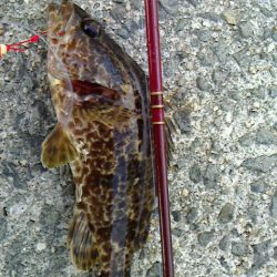 穴釣りにハマってる