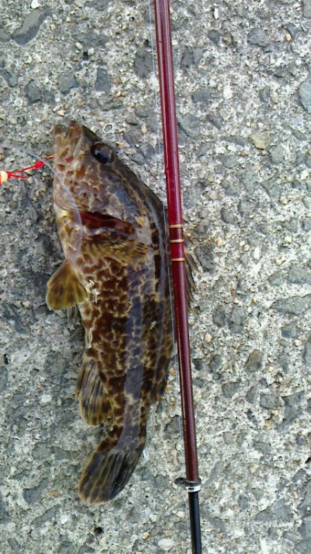 穴釣りにハマってる