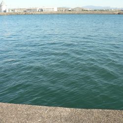 アジングのスキルアップ