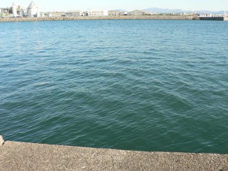 アジングのスキルアップ