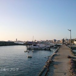 紀州釣り＆サビキ