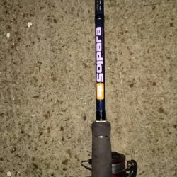 タチウオ最終エリア調査