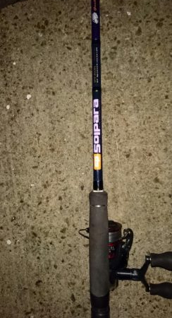 タチウオ最終エリア調査