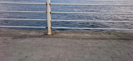 南港エリア タチウオ回復か！？