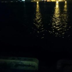 南港タチウオ釣行