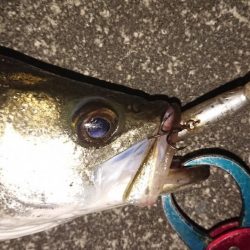 日没早い短時間夕練