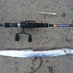 湾奥ポイント調査