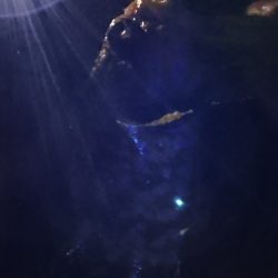 泉佐野コンビナート ガシリング