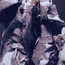 ヒラマサキャスティング