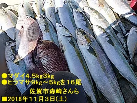 大物釣果速報！●光義丸：平戸市早福港