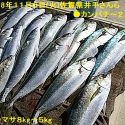 大物釣果速報！●光義丸：平戸市早福港