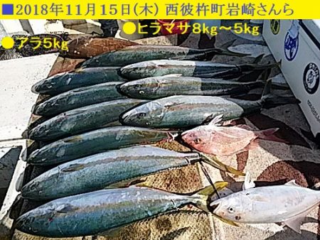 大物釣果速報！●光義丸：平戸市早福港