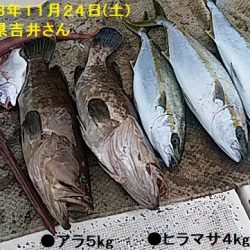 大物釣果速報！●光義丸：平戸市早福港