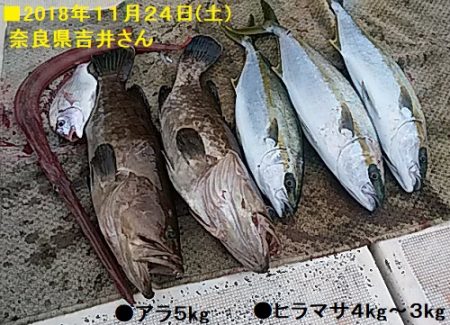大物釣果速報！●光義丸：平戸市早福港