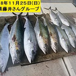 大物釣果速報!●光義丸:平戸市早福港