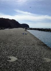 ショアジギングで大物掛かった