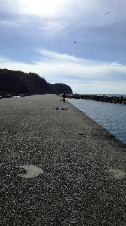 ショアジギングで大物掛かった