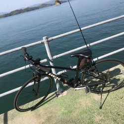 生まれて初めての