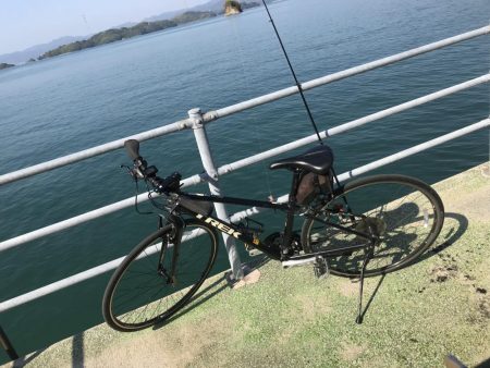 生まれて初めての