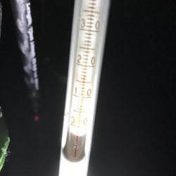 状況激シブの中エギングでアオリイカin北西風の中紀