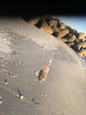 念願の遠州灘遠征