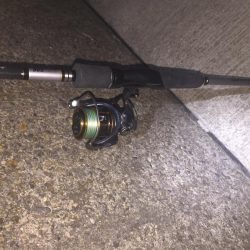 よく釣れてくれました！