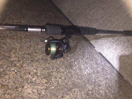 よく釣れてくれました！