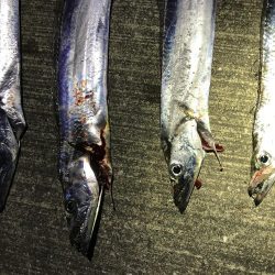 本格的に寒くなって参りました