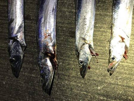 本格的に寒くなって参りました