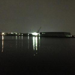 引き釣り最高！