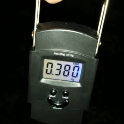 エギング上達に