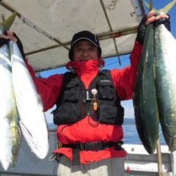 青物釣り