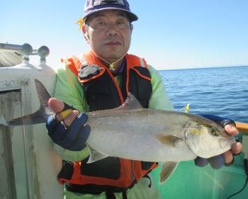 青物釣り