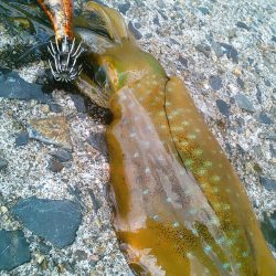 横風に悩まされ