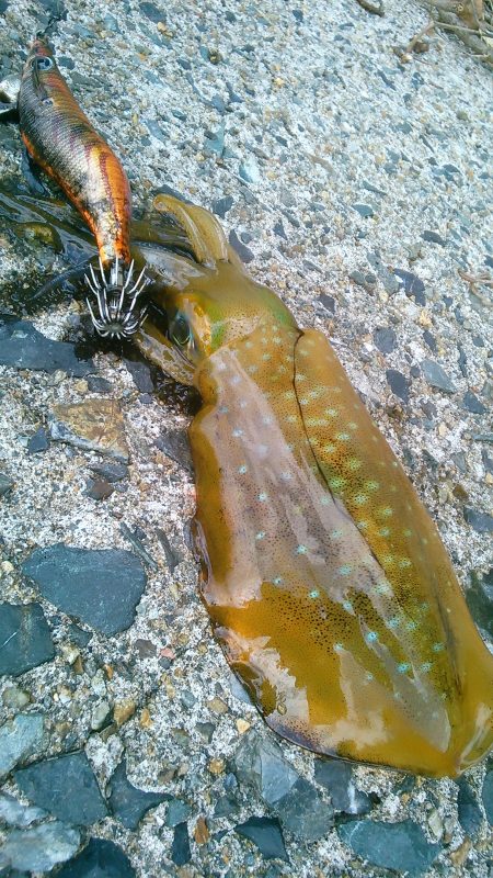 横風に悩まされ