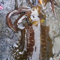 雨を覚悟してましたが、小雨で良かった❗