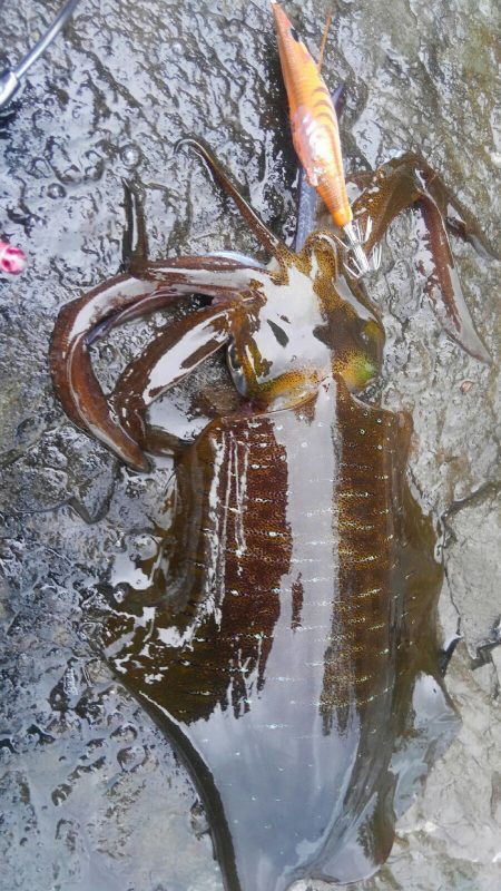 雨を覚悟してましたが、小雨で良かった❗