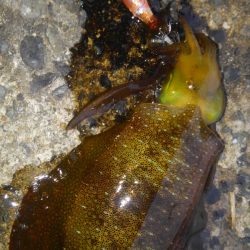 30分早く起きたご褒美‼