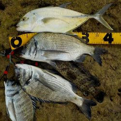 ポッパーゲーム