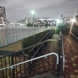 短時間釣行　～辰巳一付近～