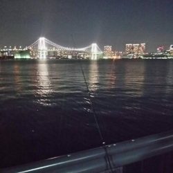 仕事帰りに　～豊洲ぐるり公園～